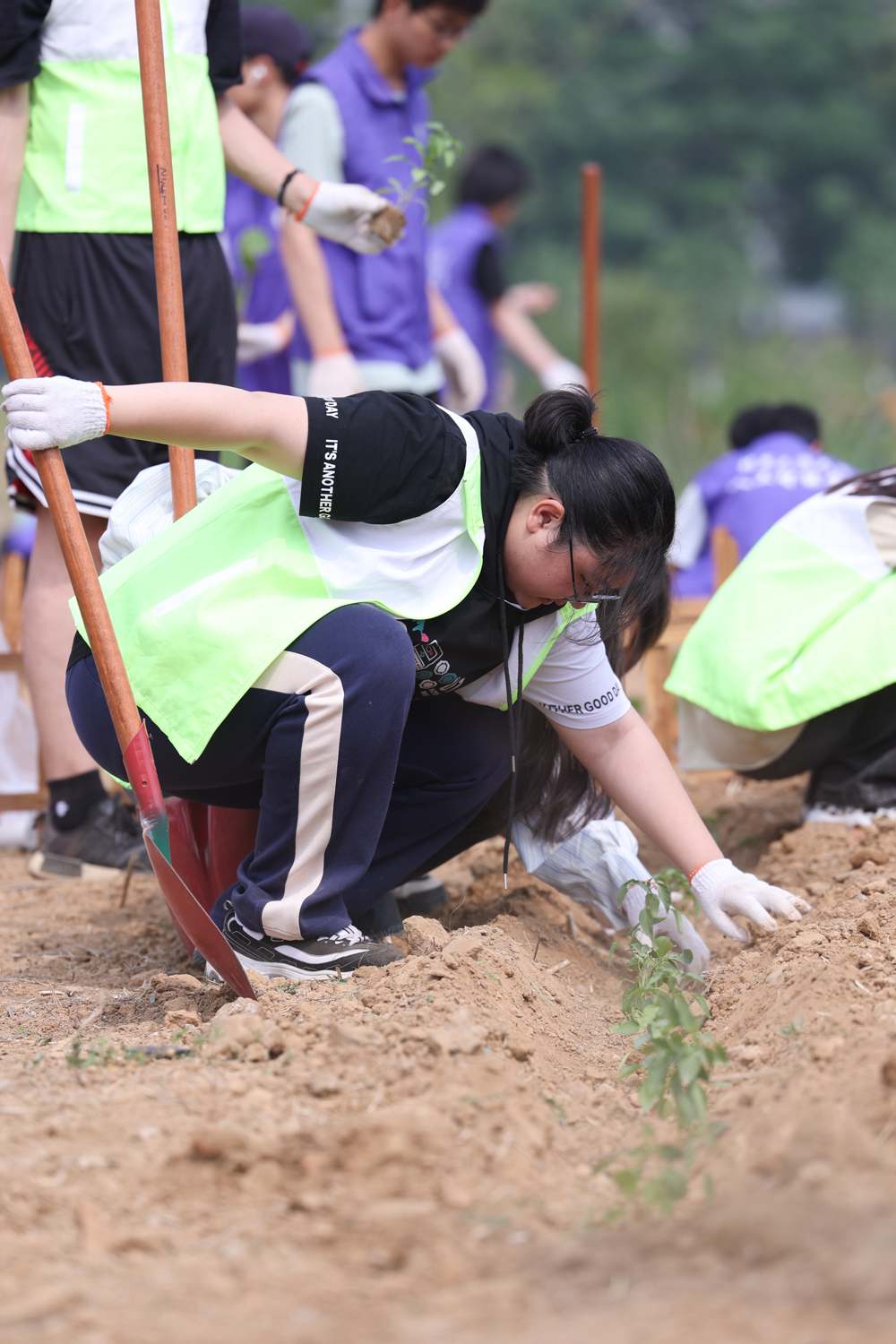 云顶国际(集团)官方网站