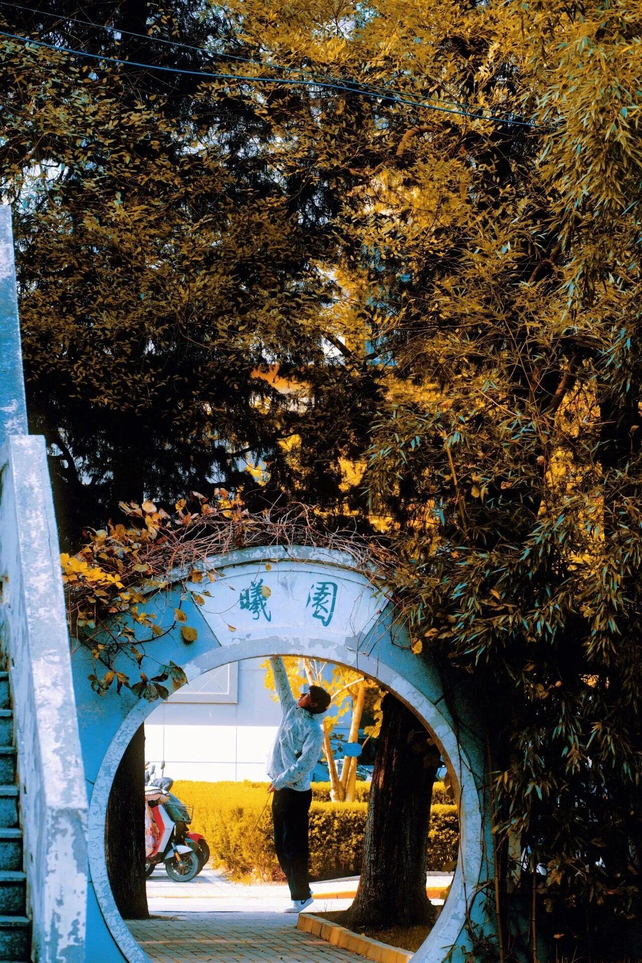 云顶国际(集团)官方网站