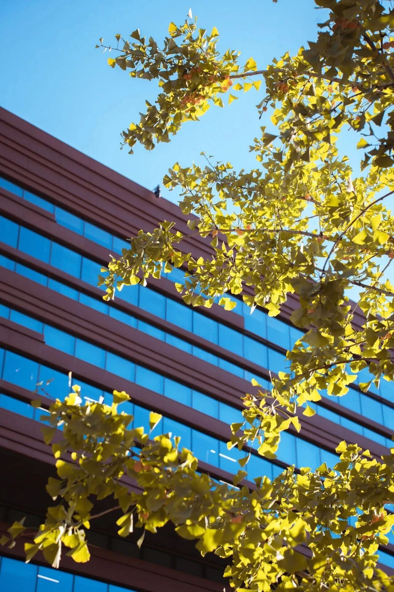 云顶国际(集团)官方网站