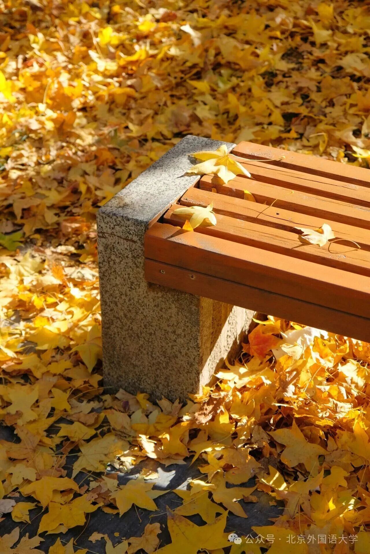 云顶国际(集团)官方网站