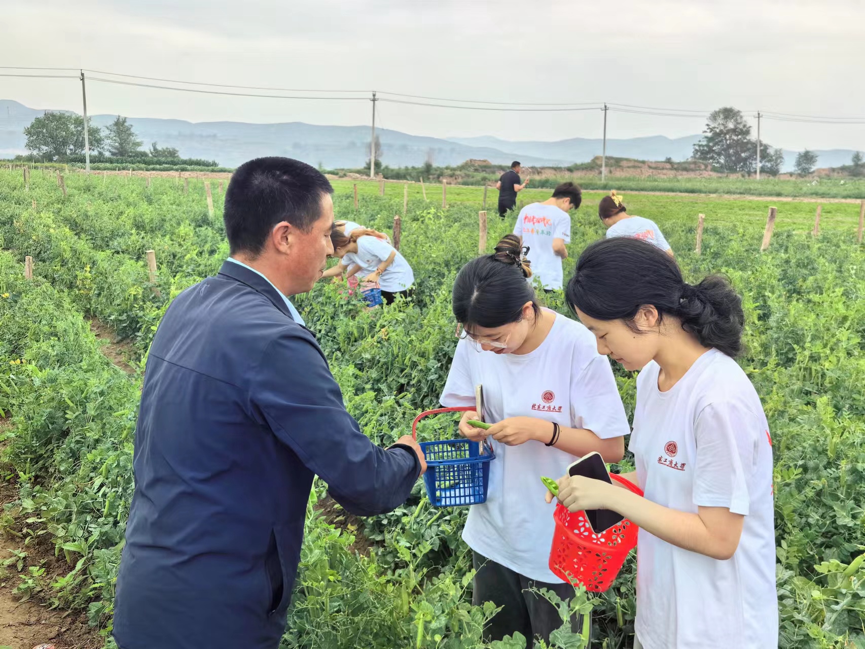 云顶国际(集团)官方网站