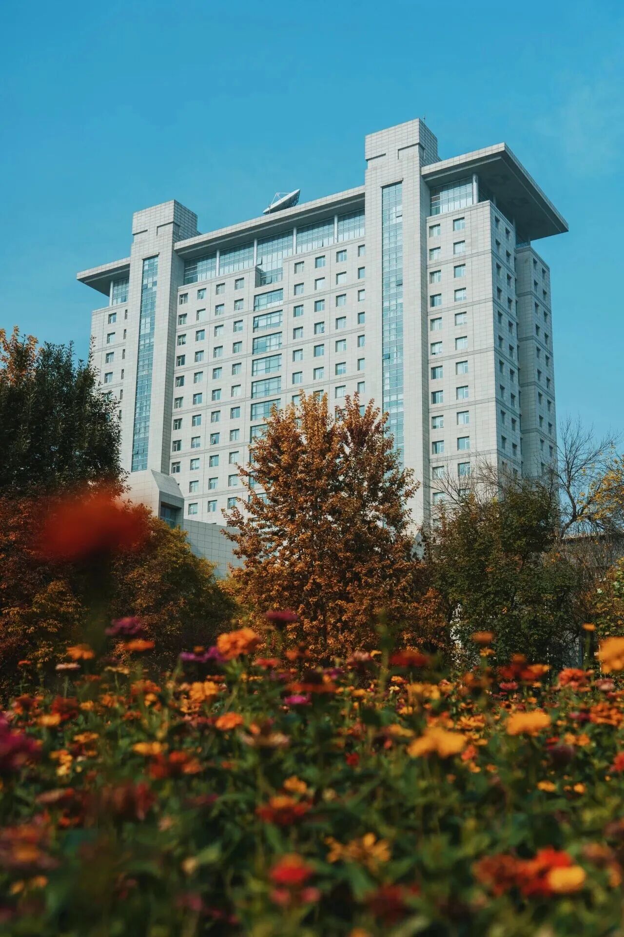 云顶国际(集团)官方网站