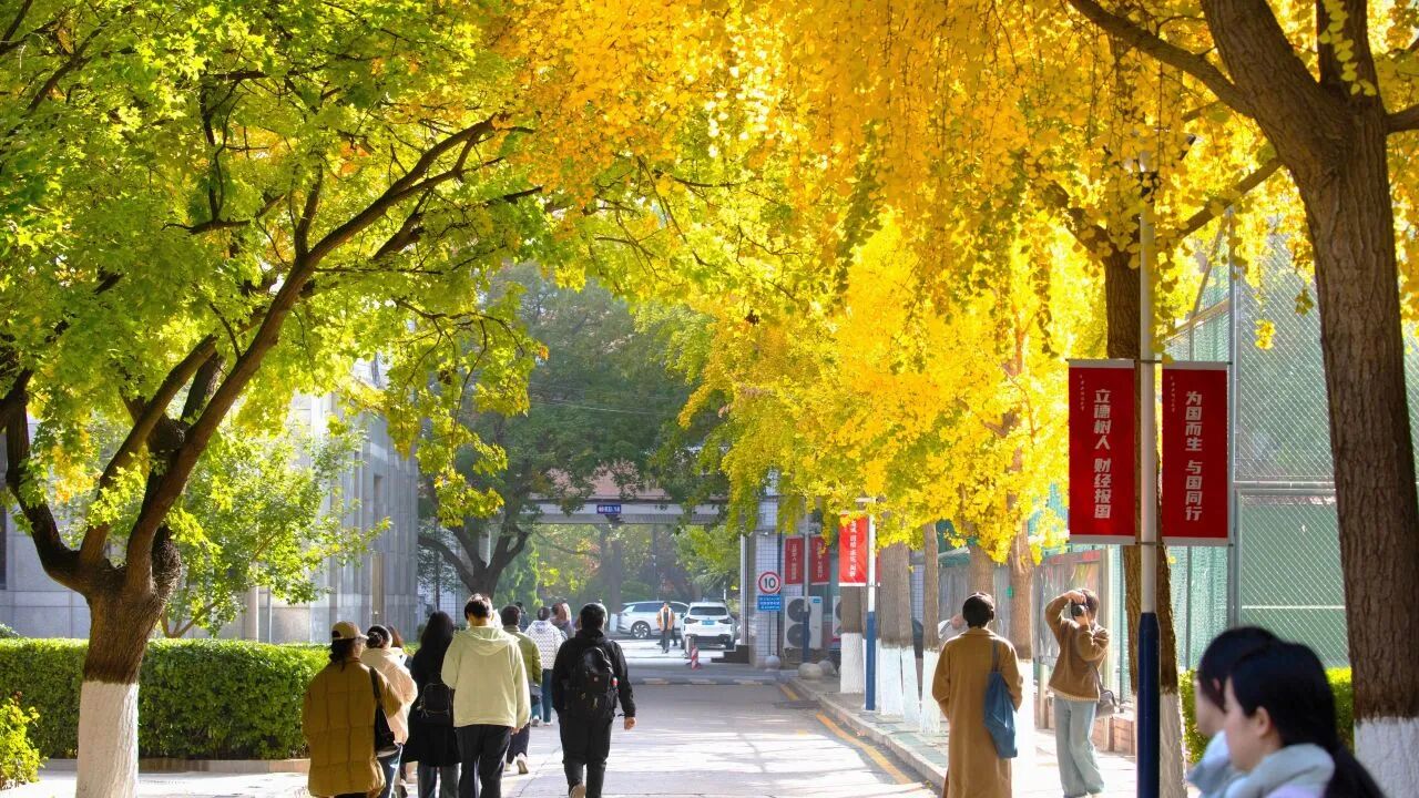 云顶国际(集团)官方网站