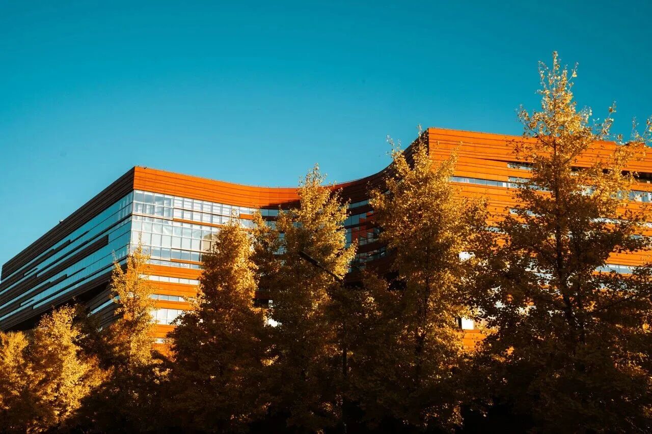 云顶国际(集团)官方网站