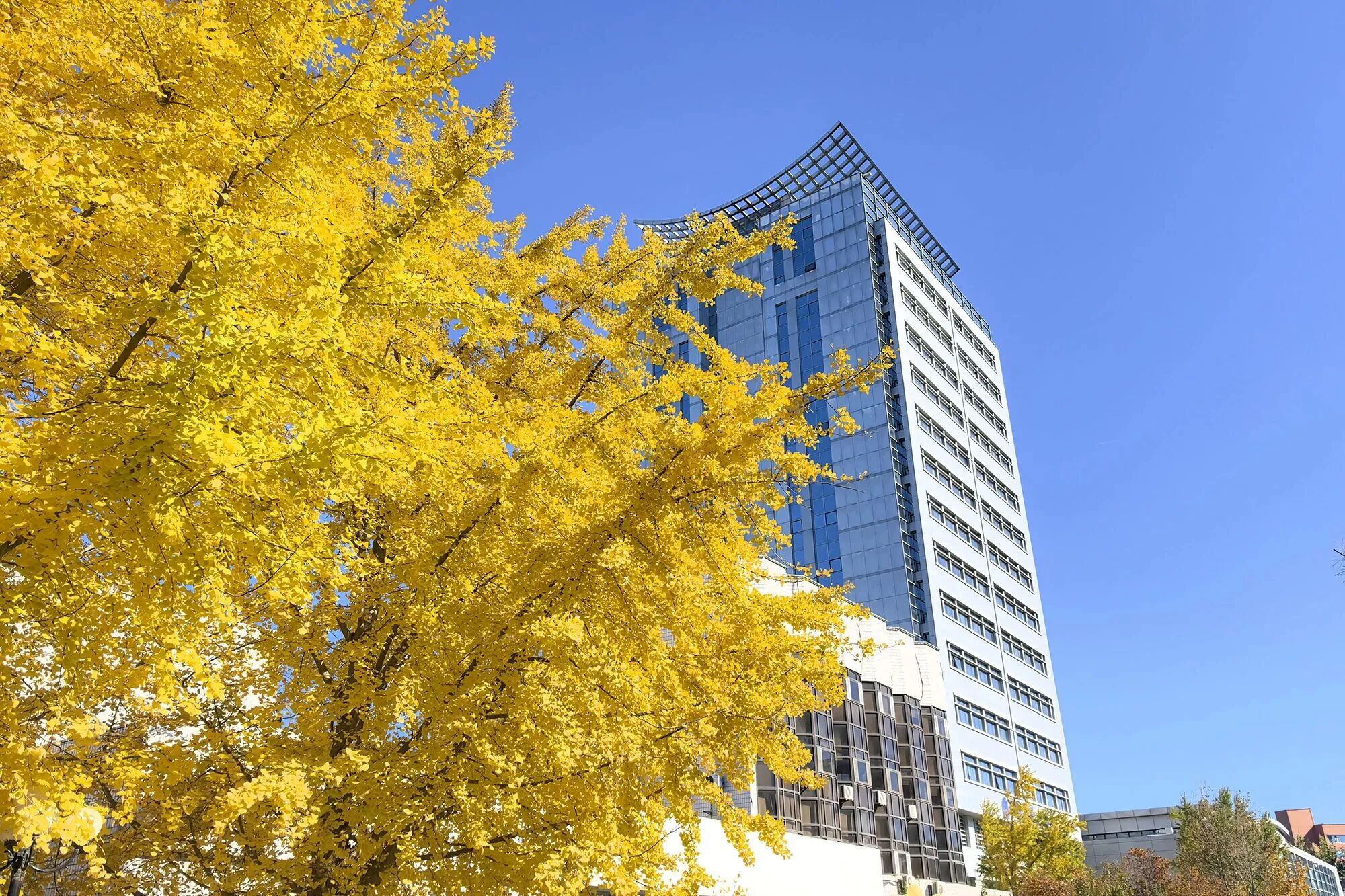 云顶国际(集团)官方网站