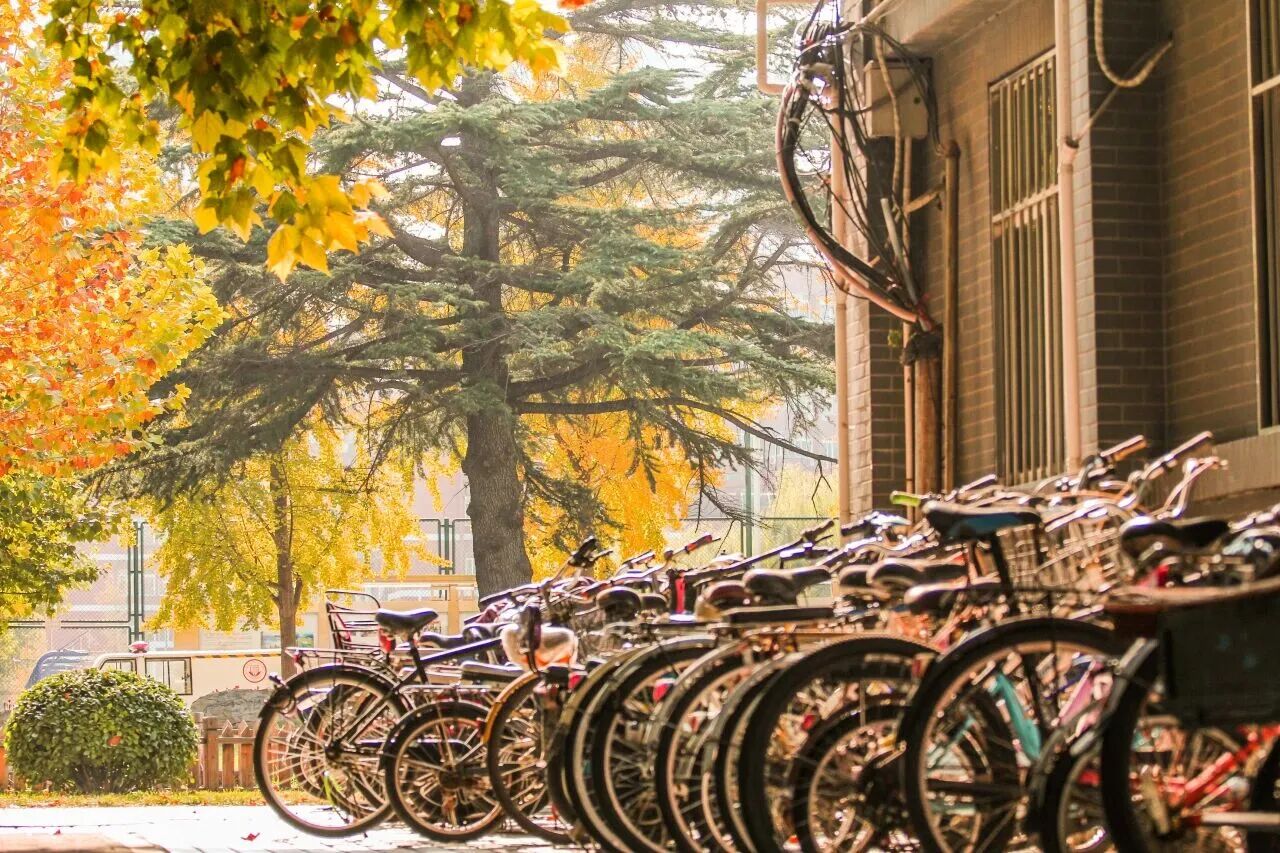 云顶国际(集团)官方网站