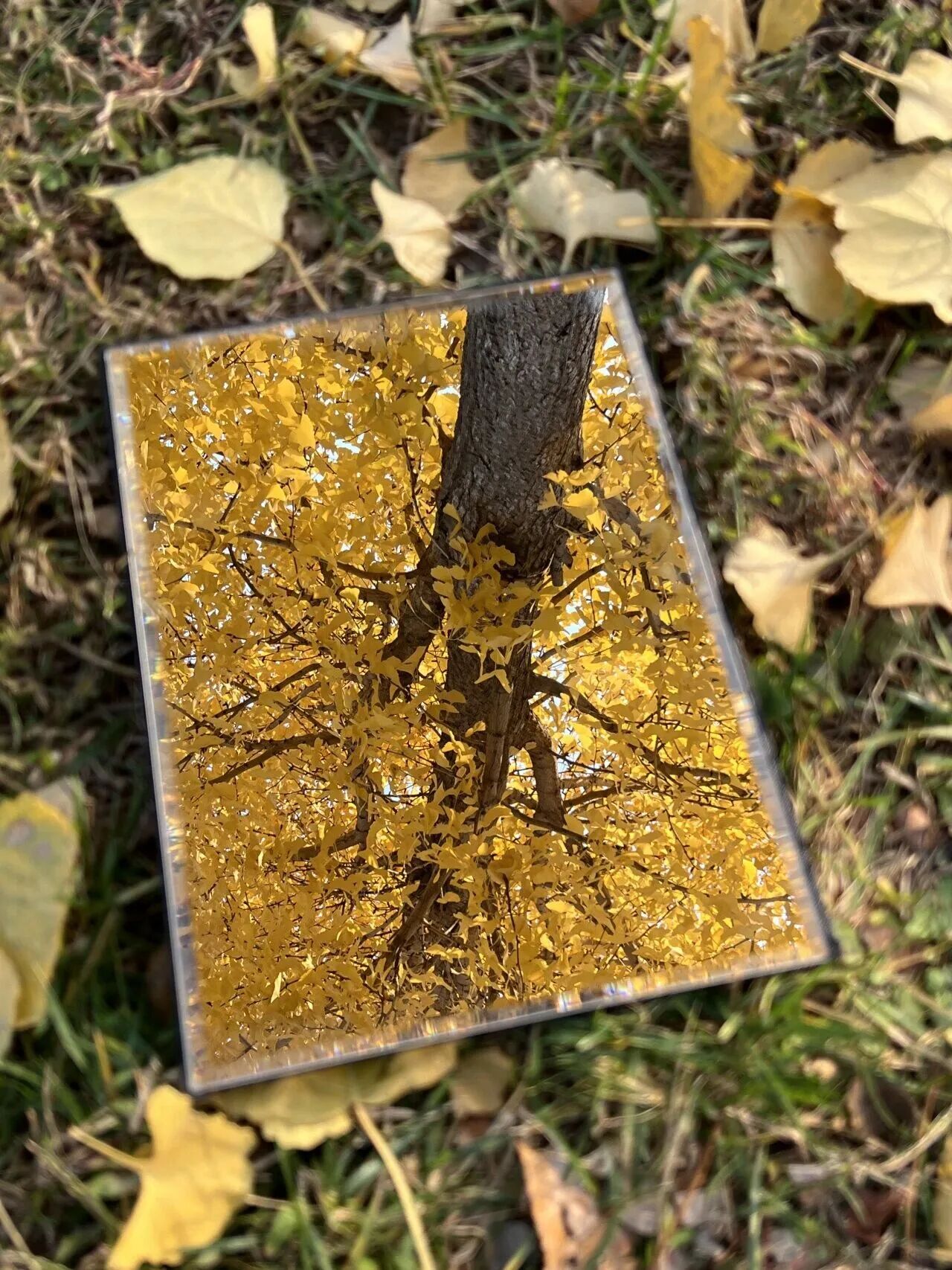 云顶国际(集团)官方网站