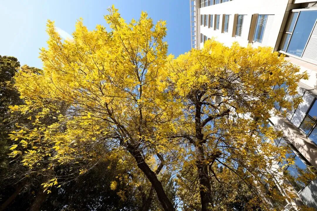 云顶国际(集团)官方网站