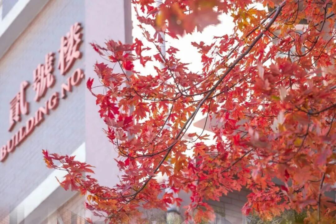 云顶国际(集团)官方网站