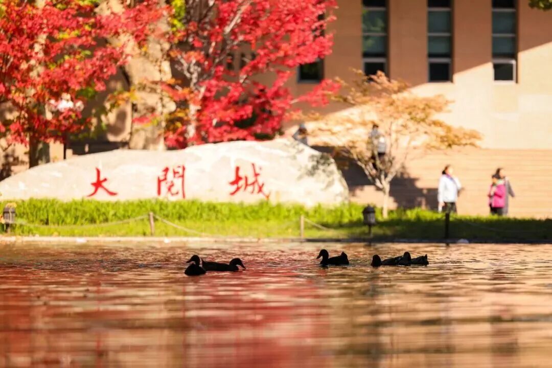 云顶国际(集团)官方网站