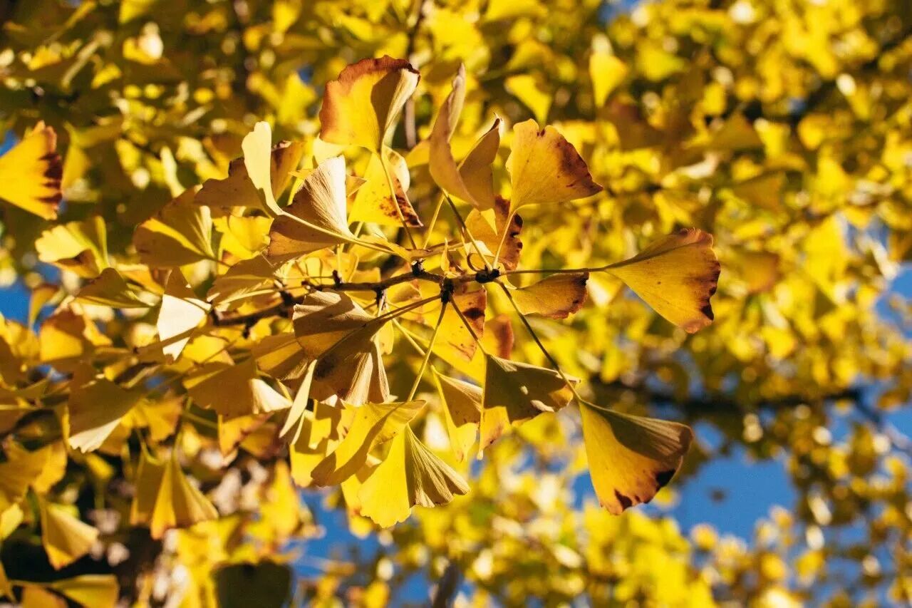 云顶国际(集团)官方网站