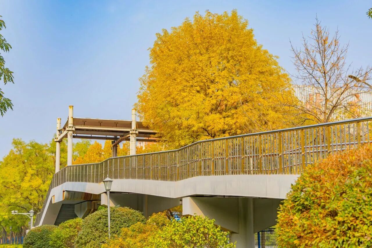 云顶国际(集团)官方网站