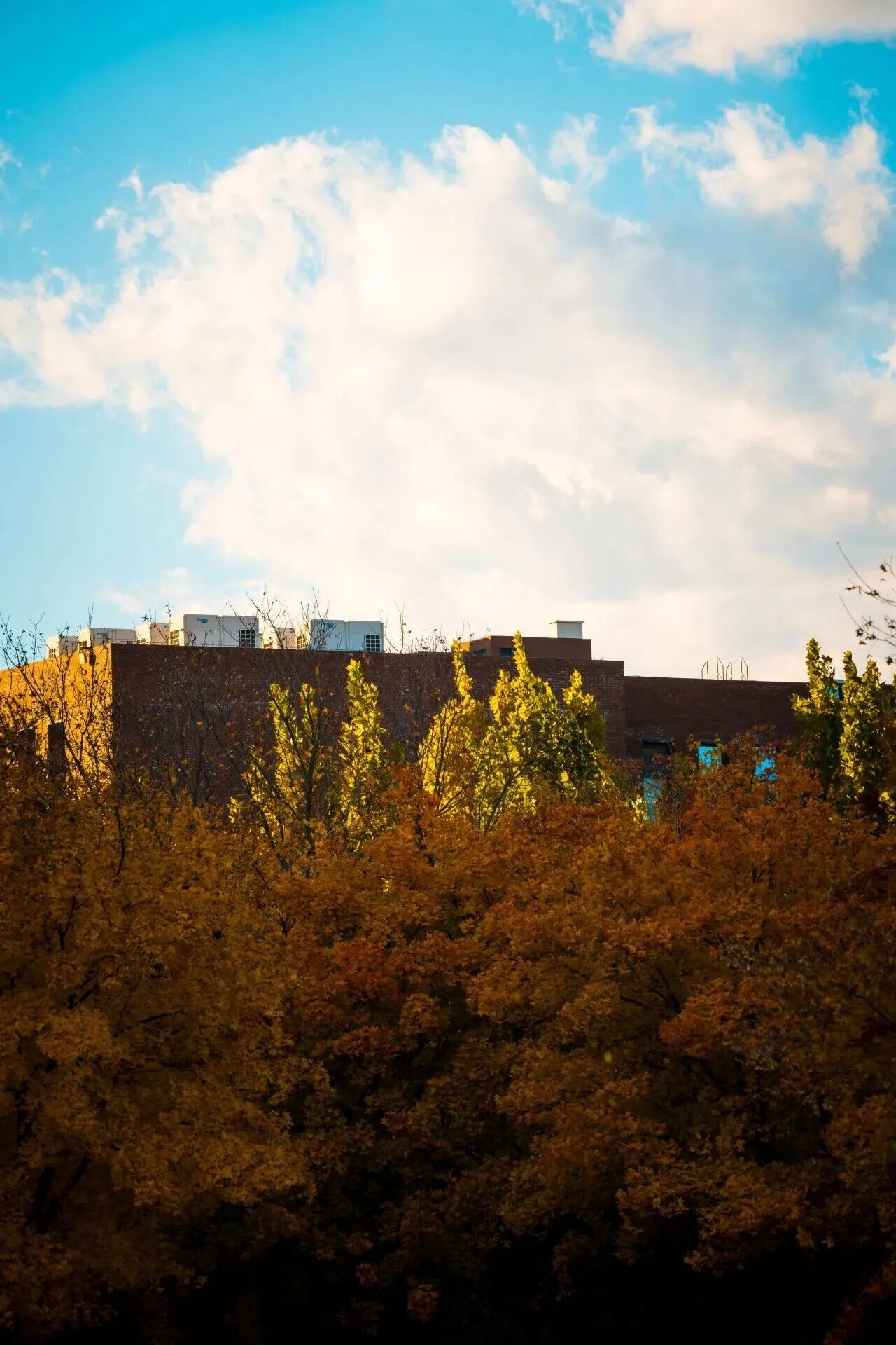 云顶国际(集团)官方网站