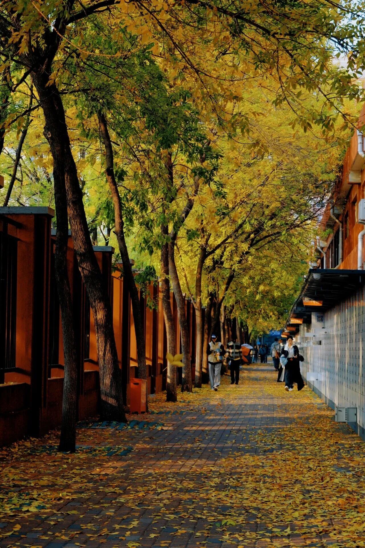 云顶国际(集团)官方网站