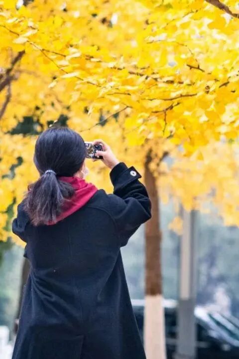 云顶国际(集团)官方网站