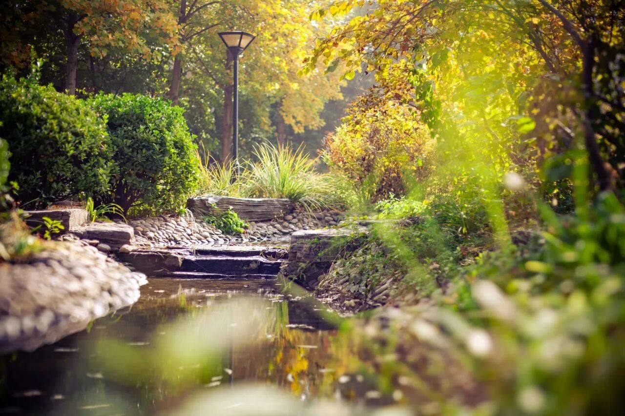 云顶国际(集团)官方网站