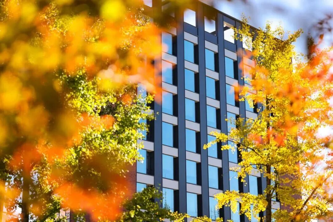 云顶国际(集团)官方网站