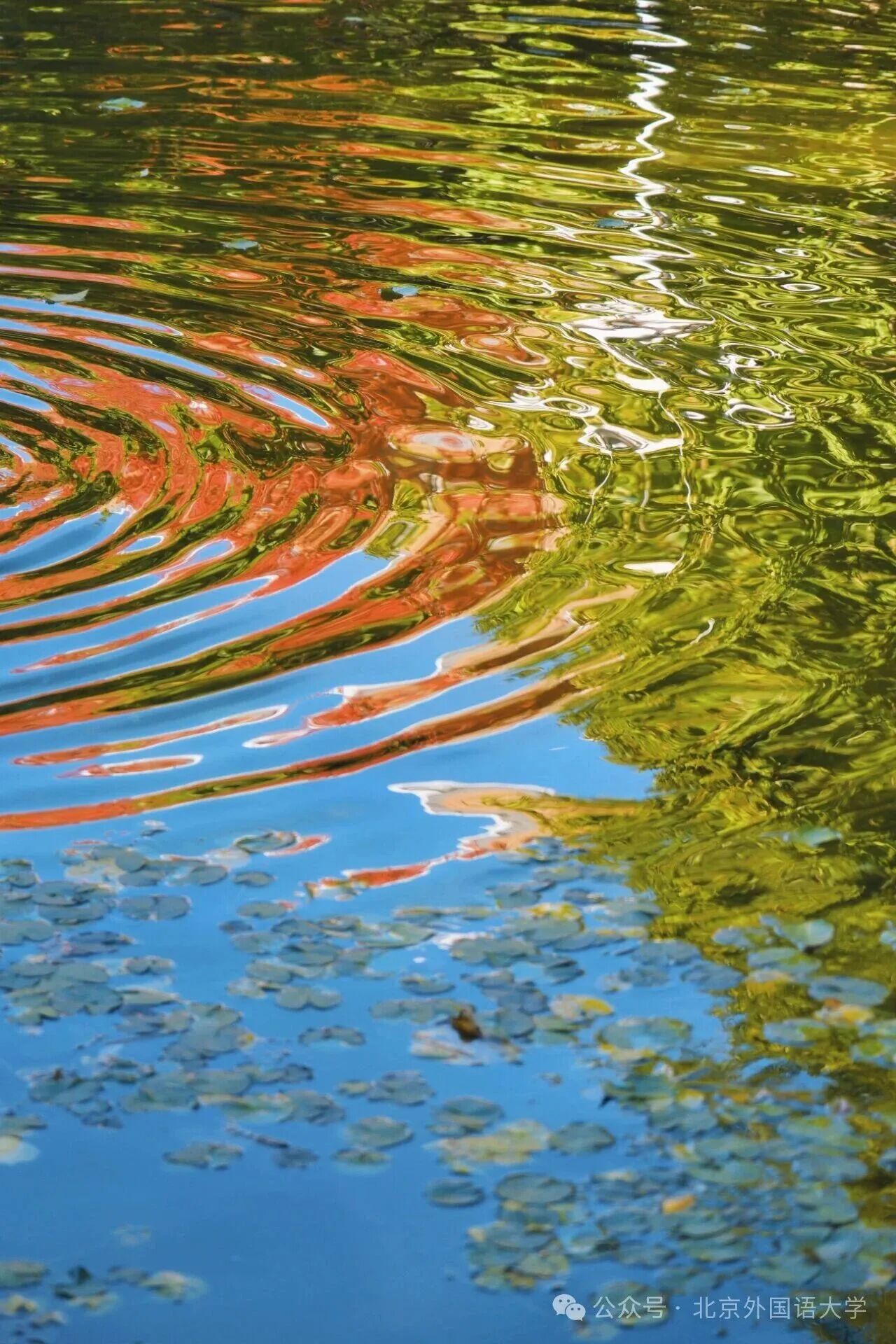 云顶国际(集团)官方网站