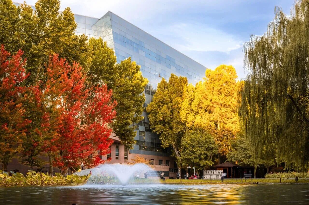 云顶国际(集团)官方网站