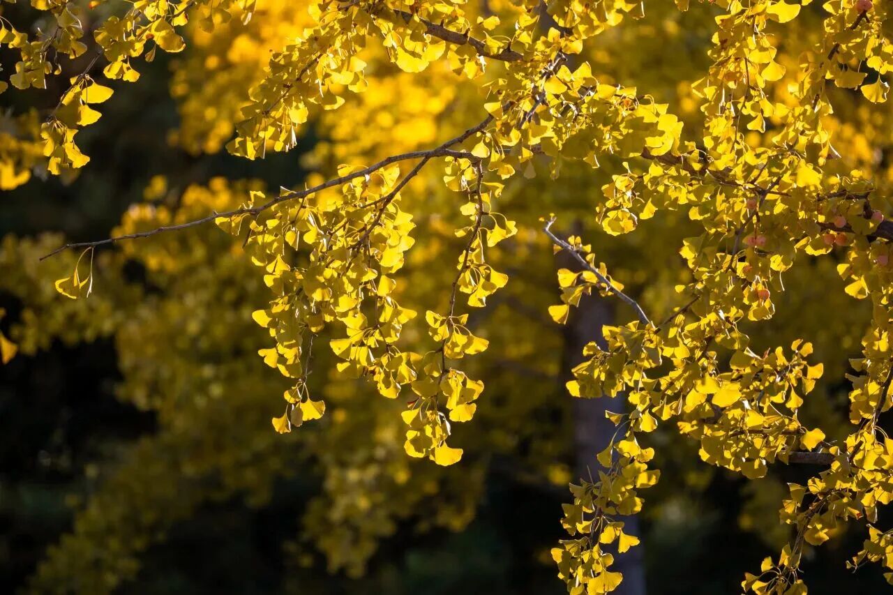 云顶国际(集团)官方网站