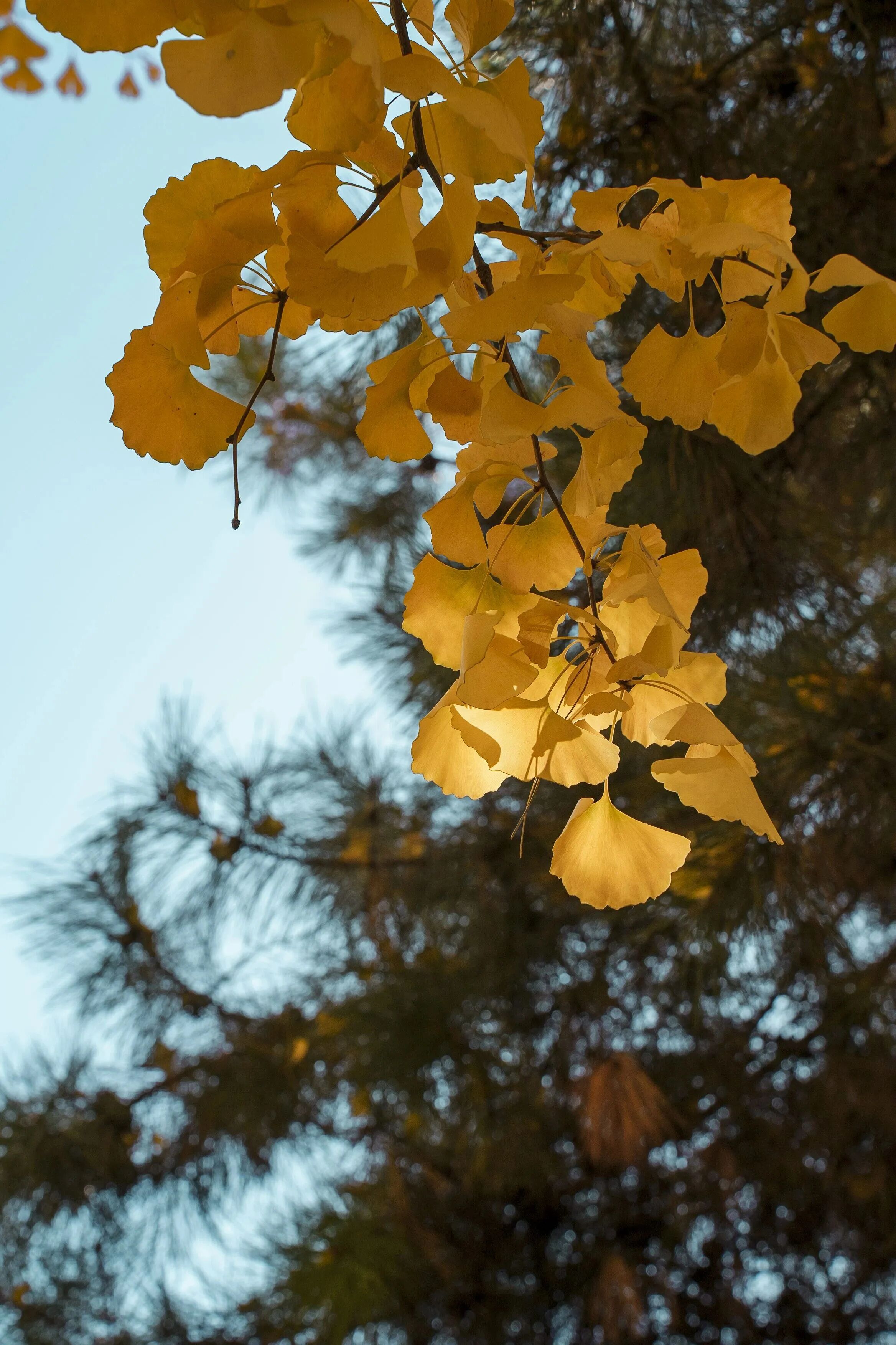 云顶国际(集团)官方网站