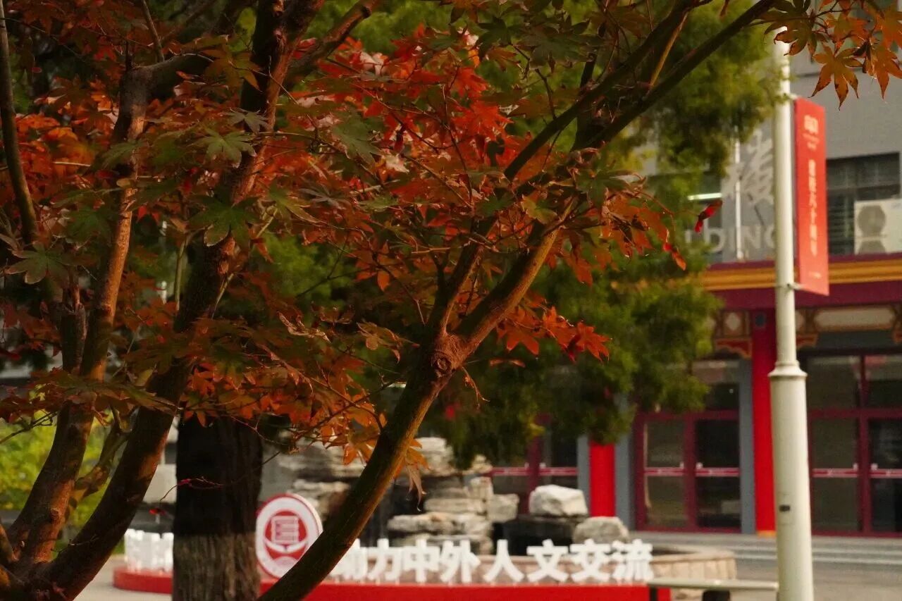 云顶国际(集团)官方网站