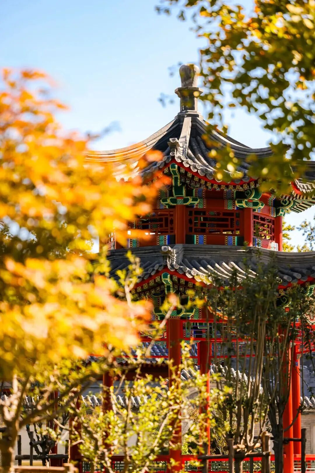 云顶国际(集团)官方网站