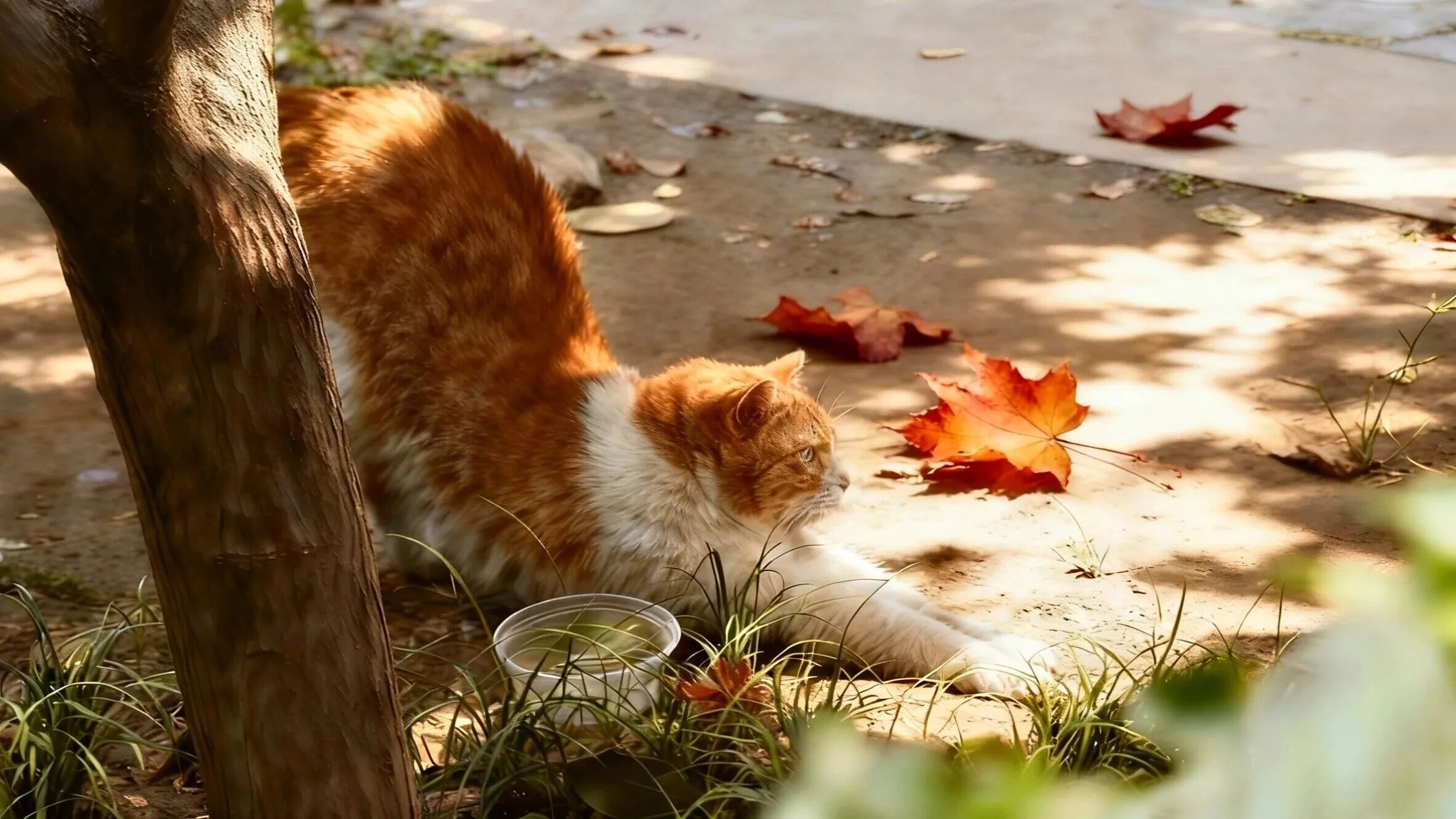 云顶国际(集团)官方网站