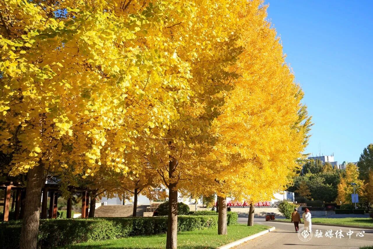 云顶国际(集团)官方网站