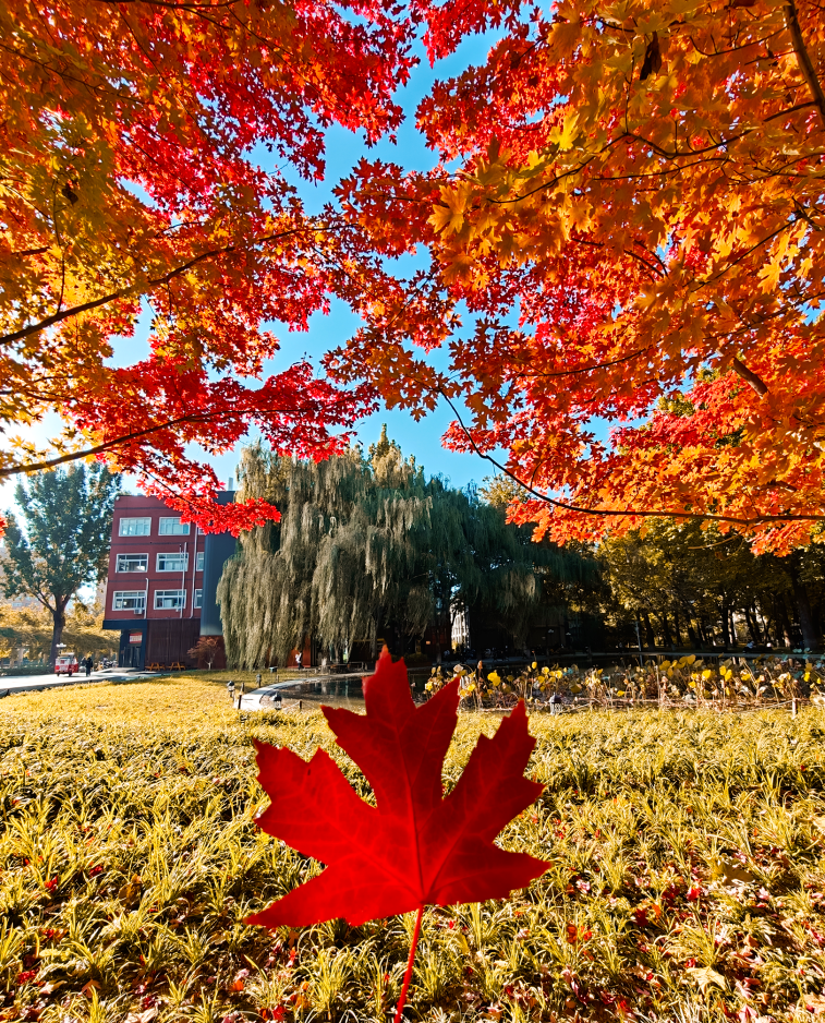 云顶国际(集团)官方网站