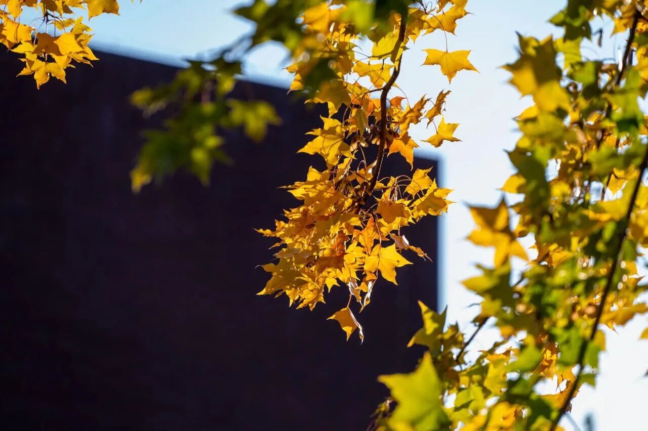 云顶国际(集团)官方网站