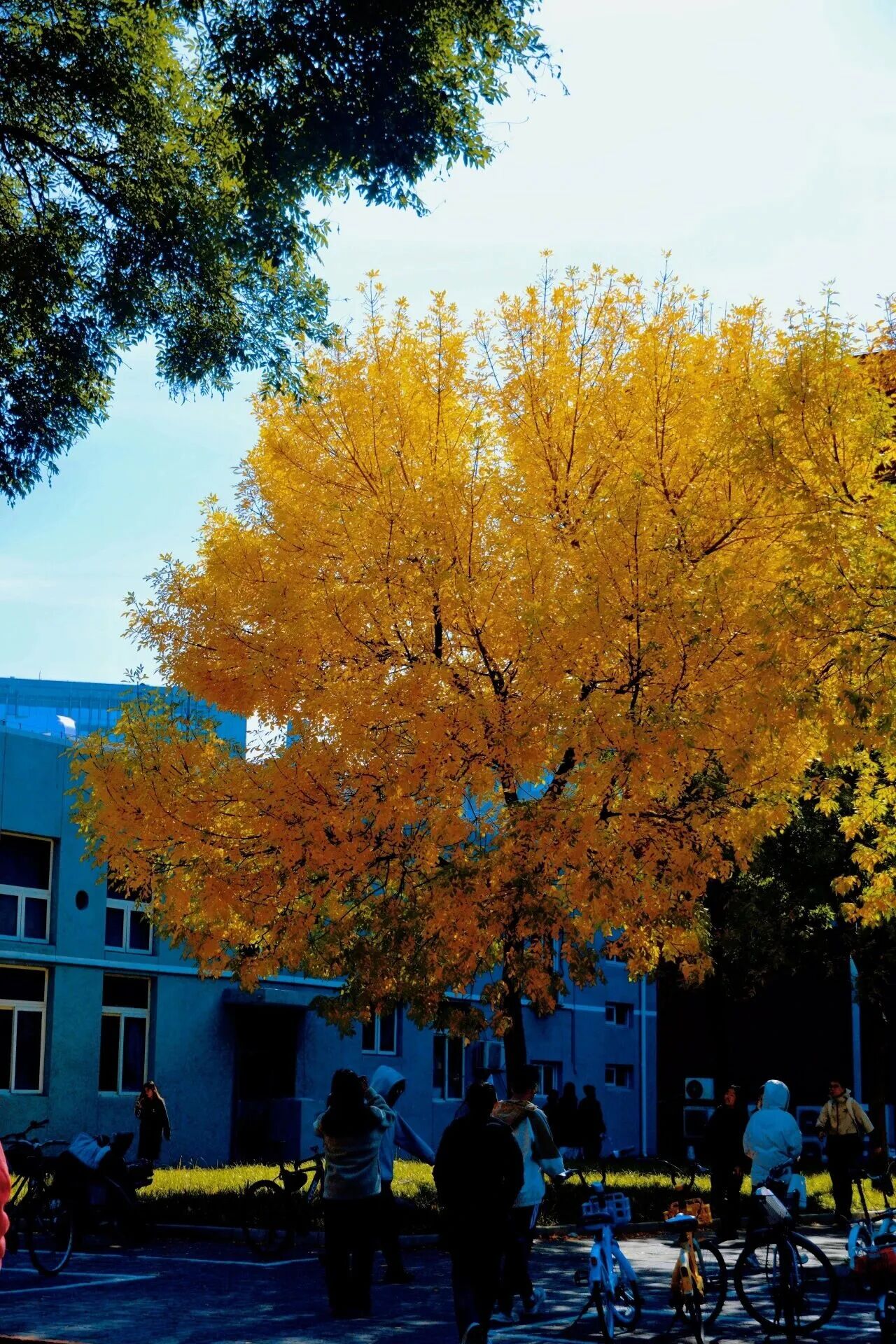 云顶国际(集团)官方网站